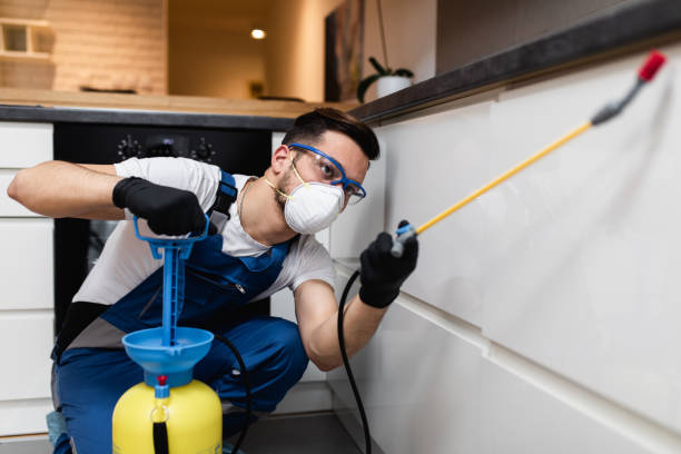 Best Residential Pest Control  in Meridian Hills, IN