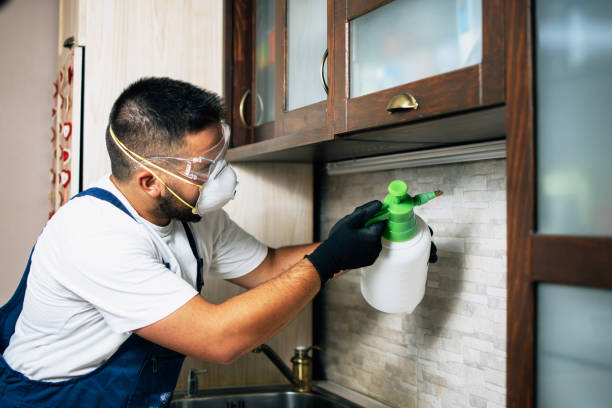 Best Termite Control Services  in Meridian Hills, IN