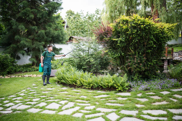 Bird Control in Meridian Hills, IN
