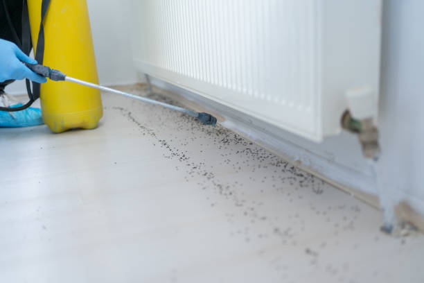 Best Pest Removal Services  in Meridian Hills, IN