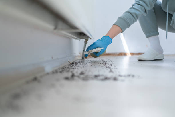 Meridian Hills, IN Pest Control Company
